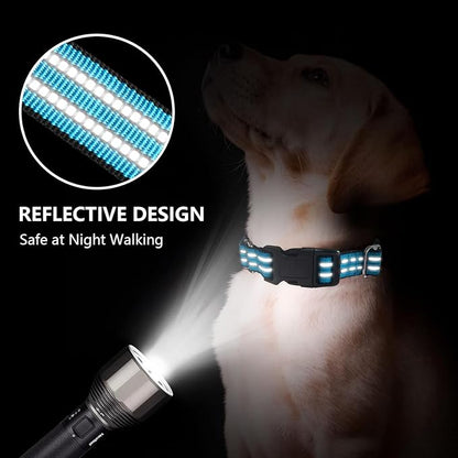 Martingale Dog Collar, Adjustable Nylon Reflective Collar - Image 2