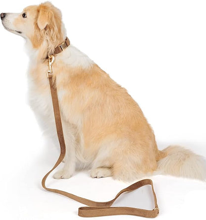 Soft Cotton Dog Collar with Metal Buckle Adjustable Heavy Duty Comfy Corduroy - Image 4