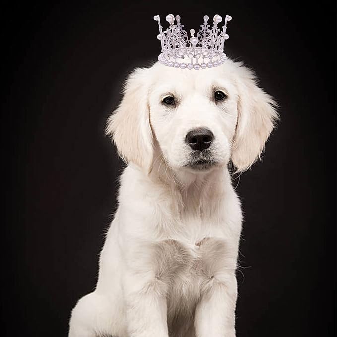 PET SHOW 2pcs Large Dog Crown Headband Sheep Big Pet Hat - Image 7