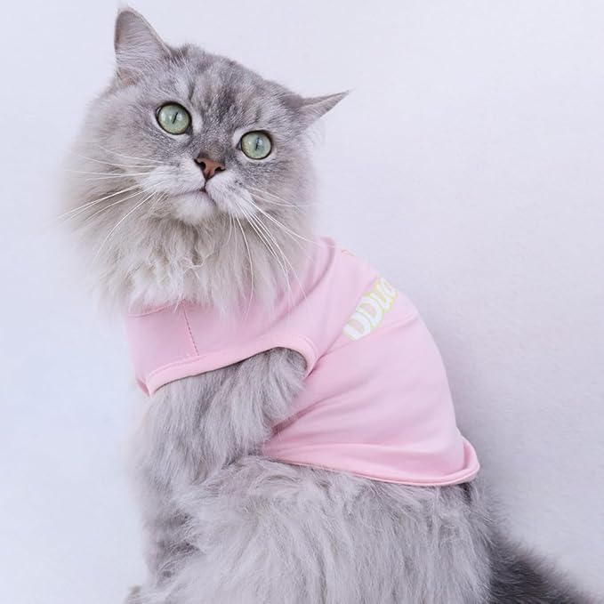 Custom Dog Shirt, Personalized Pet Apparel - Image 2