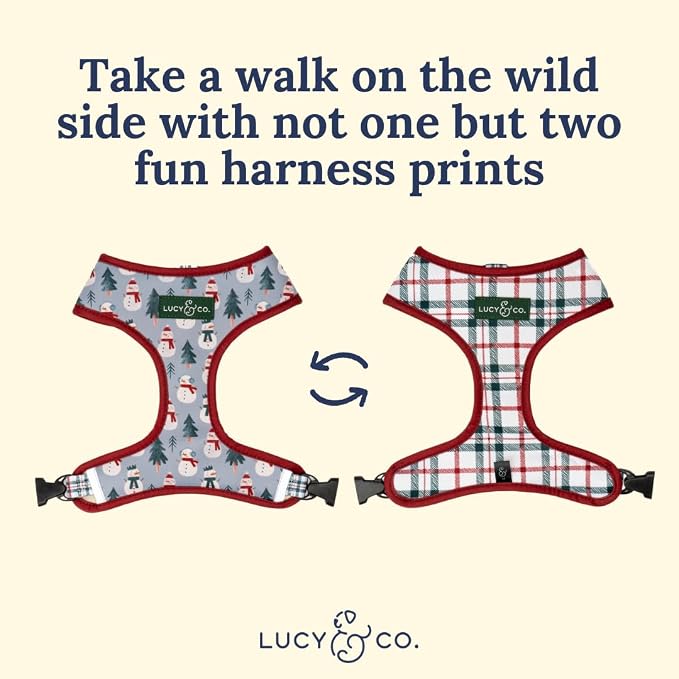 Lucy & Co. Cute Reversible Dog Harness Walking Halter - Image 5