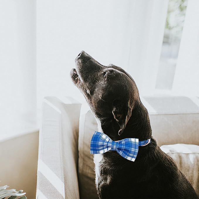 Lionheart glory Dog Collar, Boy Dog Collar Bowtie Blue Adjustable Dog Bowtie - Image 6