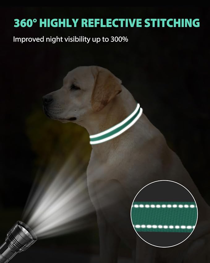 Joytale Reflective Dog Collar, Adjustable Nylon Pet Collar - Image 5