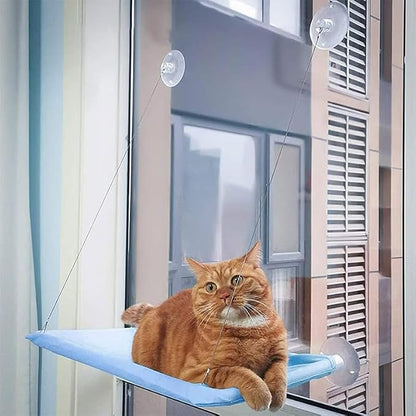 Cat Hammock with Suction Cups - Image 2