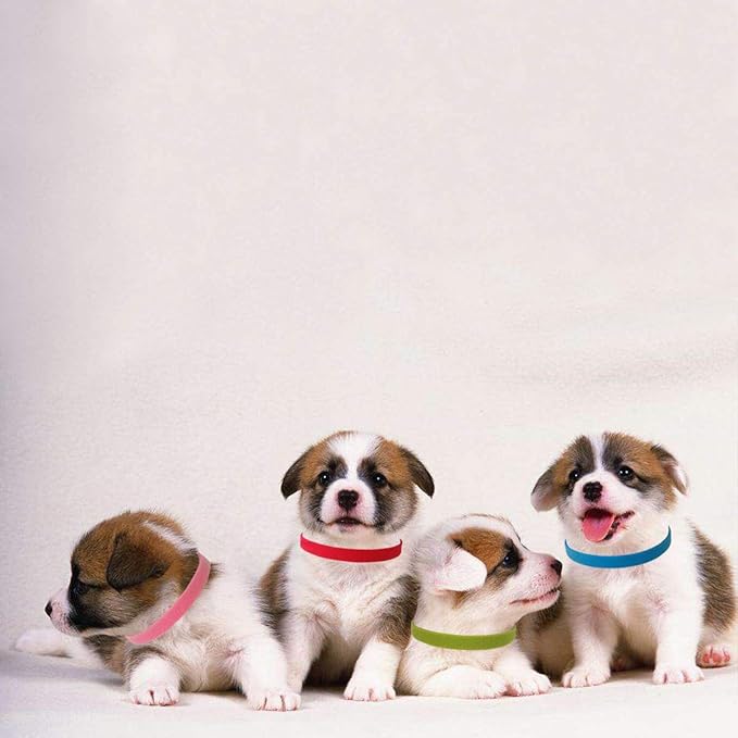 TTSAM 15 Pcs Puppy Id Collars 15 Colors Puppy Whelping Collars Double-Sided - Image 2