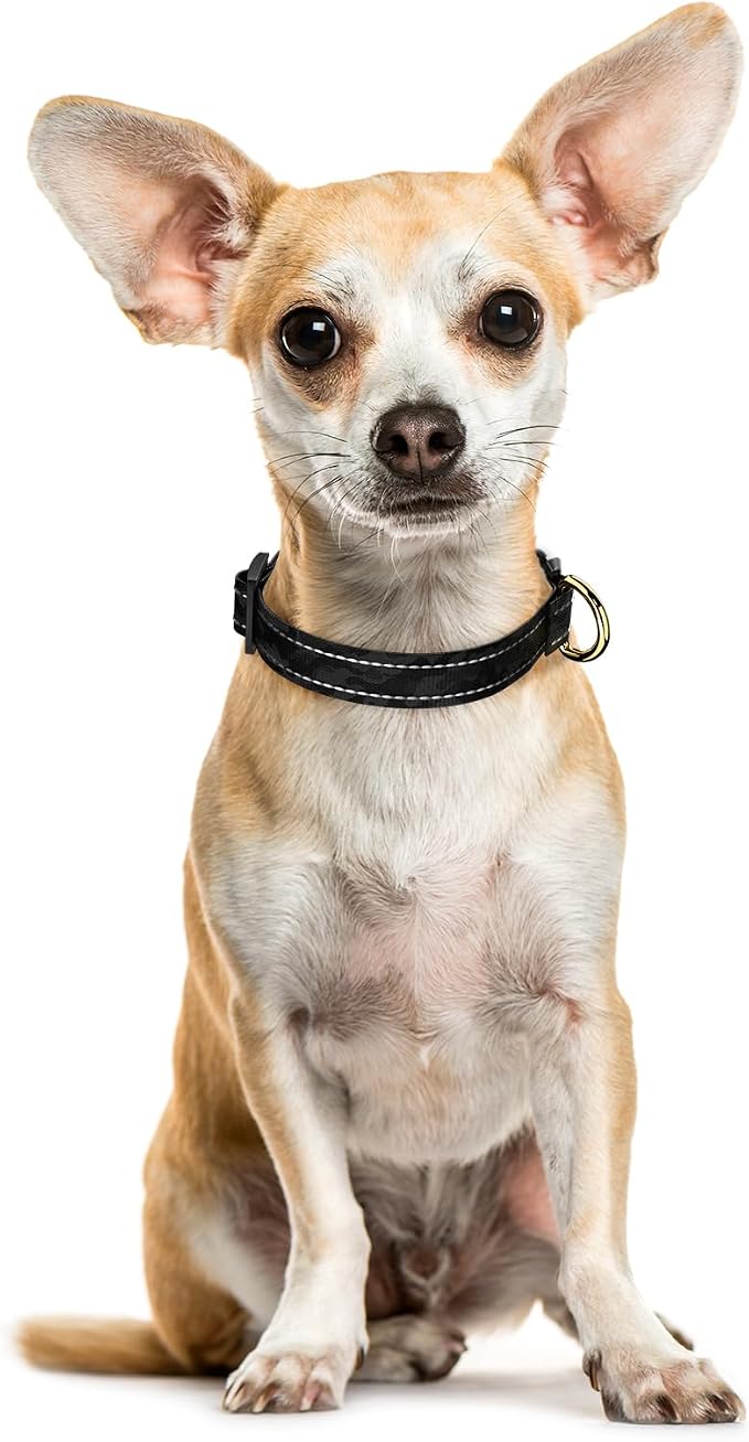 Reflective Dog Collar for Extra Small Dogs Cats, Cute Camouflage Adjustable - Image 2