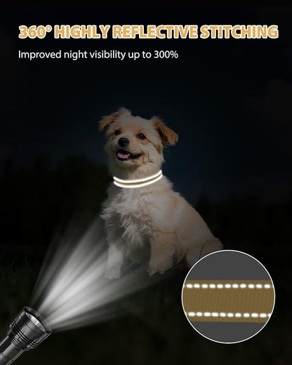 Joytale Small Dog Collar, Reflective and Adjustable Nylon Collar - Image 5