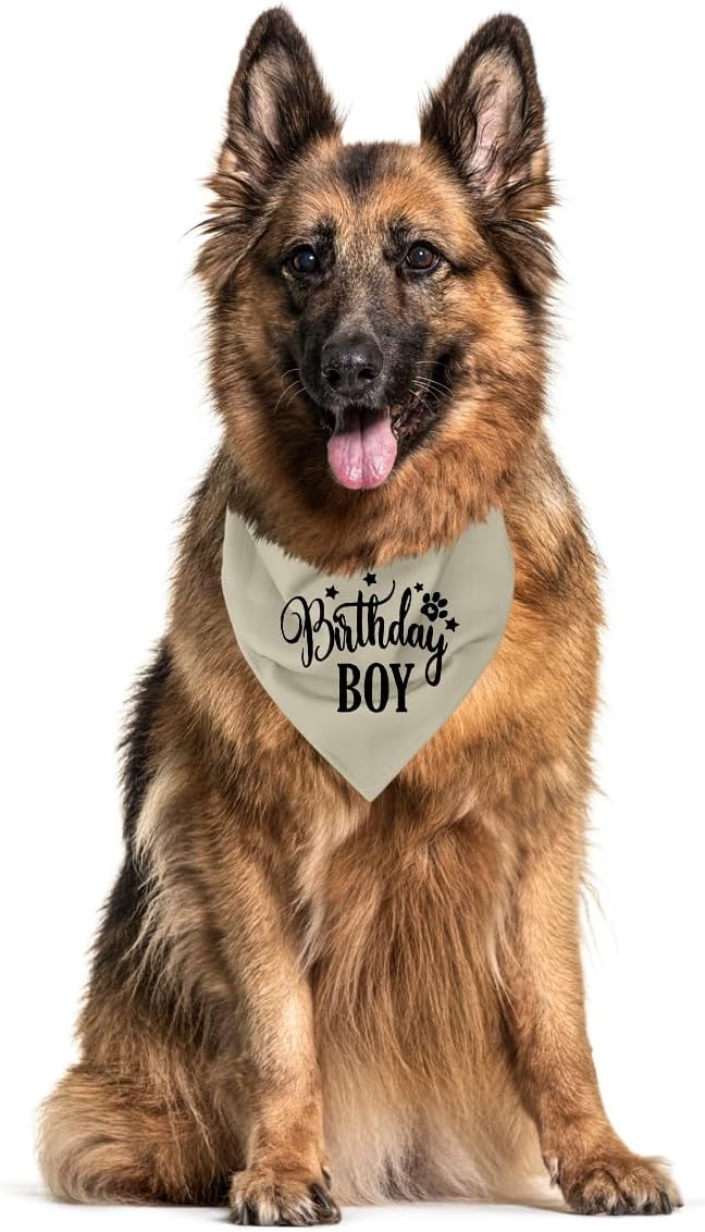 A19 Birthday Dog Bandana - Image 3