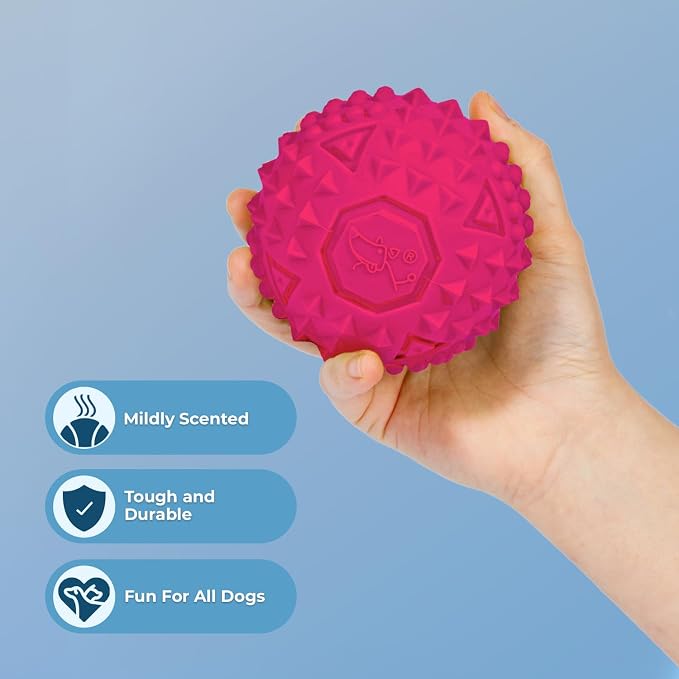 Best Pet Supplies Squeaky Dog Toys - Image 2