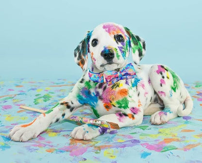 Lionheart glory Dog Collar, Colorful Dog Collar - Image 6