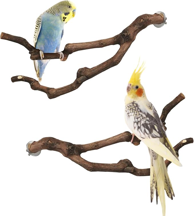 PINVNBY Natural Parrot Perch Grape Wood Bird Stand Pole Parakeet Paw Grinding by PINVNBY
