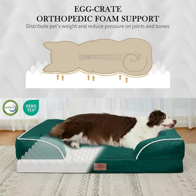 Comfort Expression Orthopedic Dog Bed - Image 2