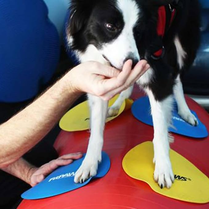 FitPAWS Targets - Image 5