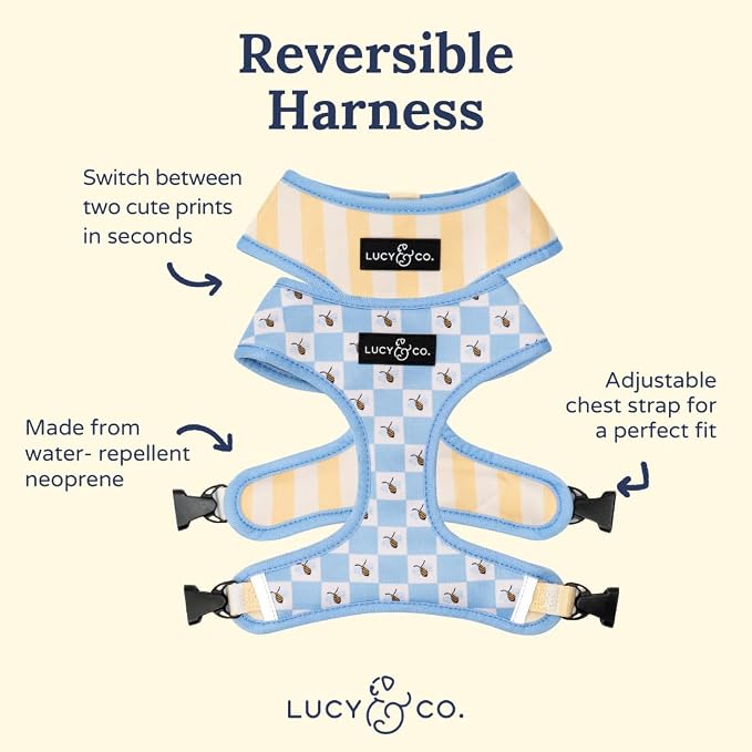 Lucy & Co. Bumbling Around Reversible Dog Harness, Adjustable Comfort Fit - Image 3