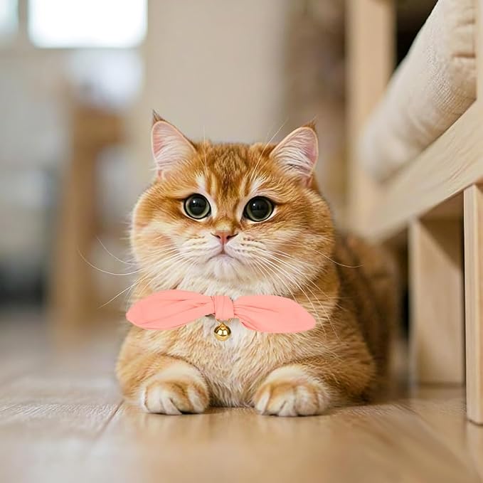 Bunny Ear Cat Collar with Bell and Bow Tie, Breakaway Cute Bowtie Kitten Collars - Image 5