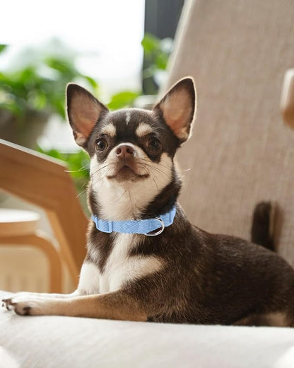 Dynmeow Soft and Breathable Cotton Dog Collar, Durable Adjustable Boy Pet Collar - Image 7