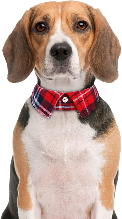Faleela Cotton Plaid Shirt Style Dog Collar Soft Cute, Boy Dog Collar - Image 3