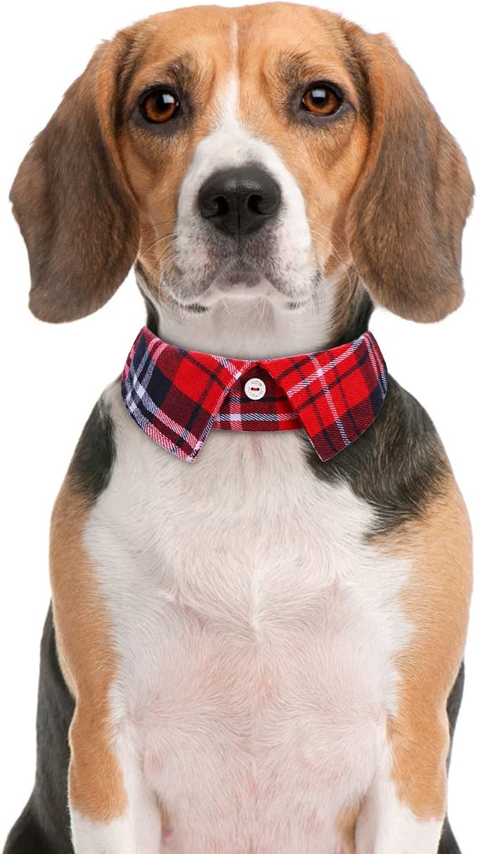 Faleela Cotton Plaid Shirt Style Dog Collar Soft Cute, Boy Dog Collar - Image 3