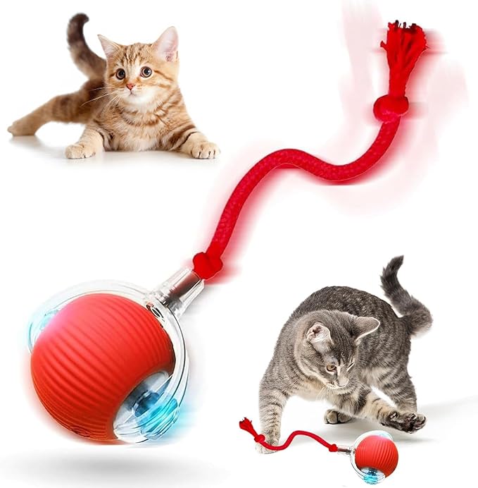 Interactive Cat Toy Ball, Smart Interactive Cat Toys, Smart Cat Toy by Taikcsut