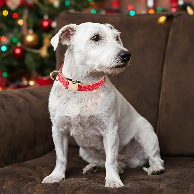 Woven Dog Collar with Metal Buckle Adjustable Jacquard Retro Dog Collars - Image 5