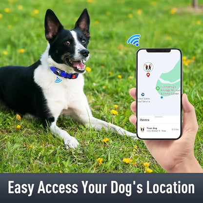 Airtag Dog Collar with AirTag Holder - Image 2