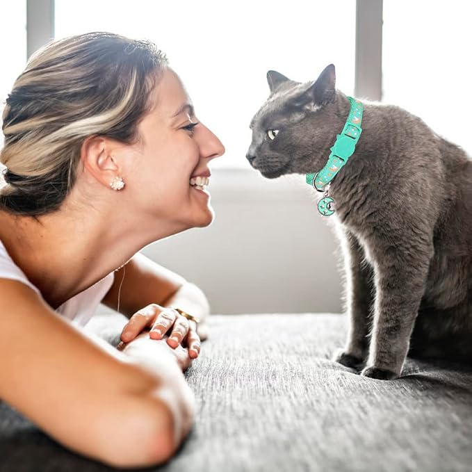 2Pcs Breakaway Cats Collars Cat Collars - Image 2