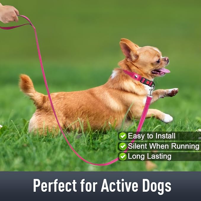 Airtag Dog Collar with AirTag Holder - Image 3