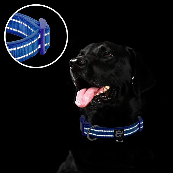azuza Reflective Dog Collar, Soft Neoprene Padded Pet Collar - Image 4