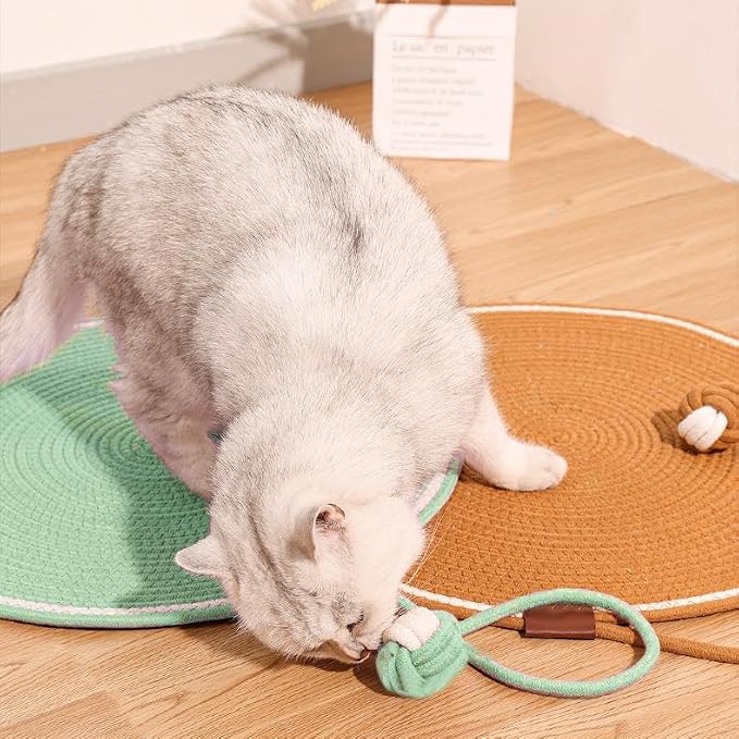 Natural Cotton Rope Cat Scratch Pad, 15.7'' Round Horizontal Floor Cat - Image 7