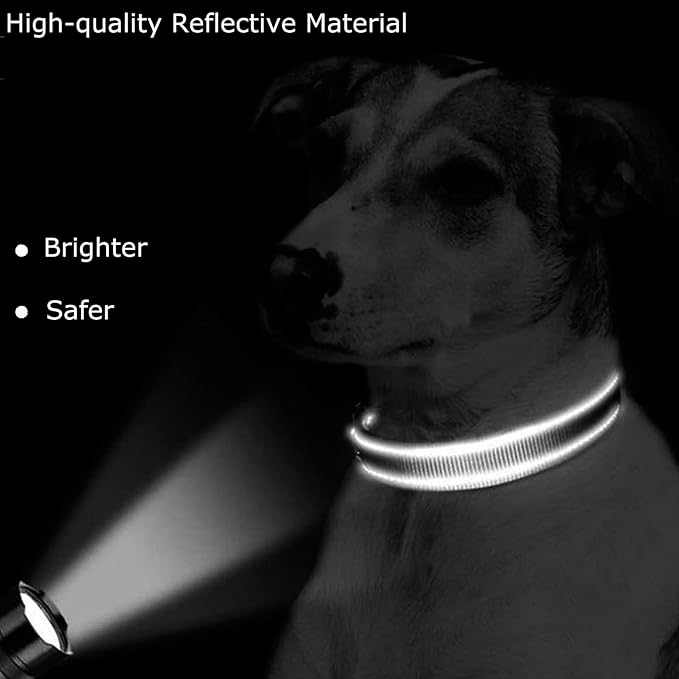 Roses&Poetry Reflective Dog Collar - Image 4