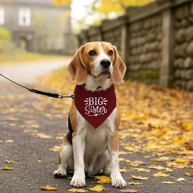 Big Sister Bandana for Dogs, Dog Pregnancy Announcement, Dark Red Dog Bandana - Image 5