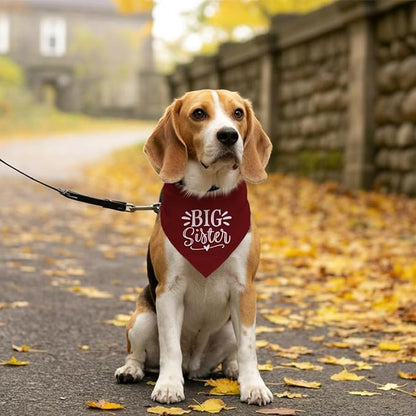 Big Sister Bandana for Dogs, Dog Pregnancy Announcement, Dark Red Dog Bandana - Image 5