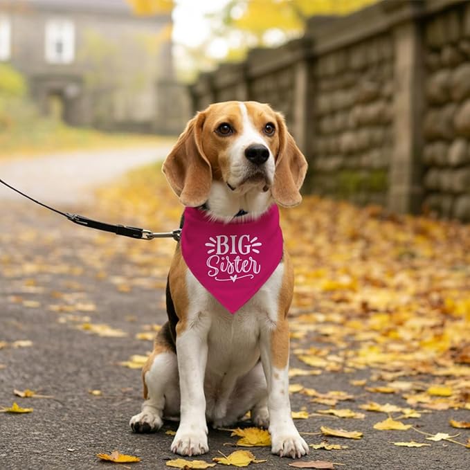 Big Sister Dog Bandana, Dog Bandana, Deep Pink Pet Dog Scarf Accessories - Image 5