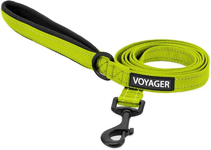 Best Pet Supplies Voyager Reflective Dog Leash or Collar by BestPetSuppliesLLC