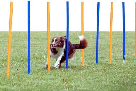 Trixie Dog Agility Slalom Course by TRIXIE