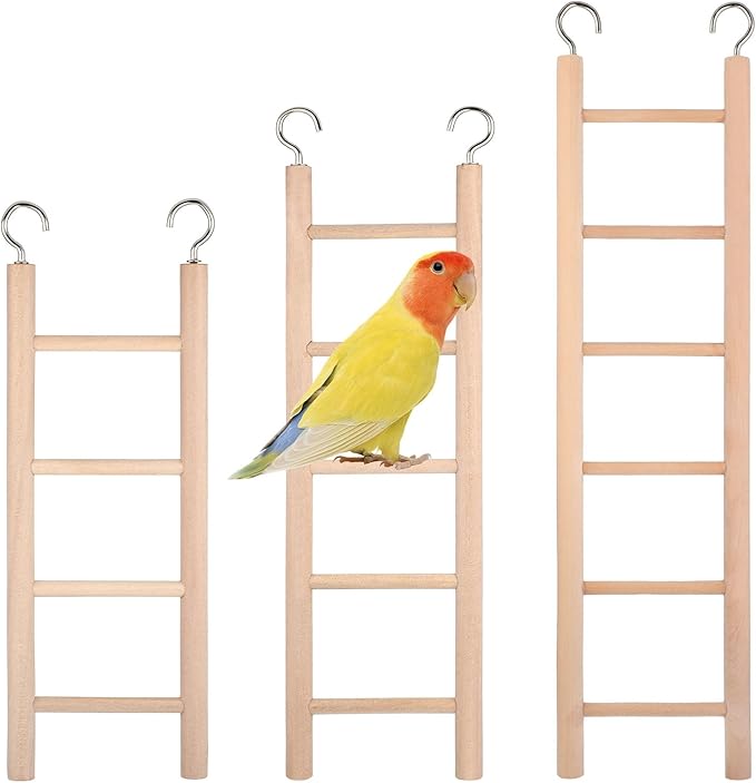 Bird Ladder for Cage by Unknown
