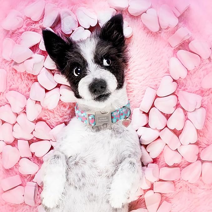 Unique style paws Valentine's Day Dog Collar Plastic Buckle Collar - Image 4