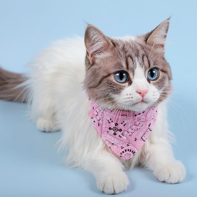 6 Pcs Cat Bandana, Adjustable Pet Bandana Collars - Image 4