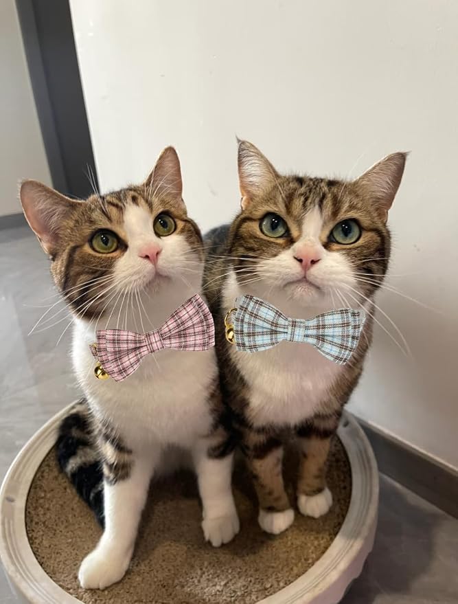 2 Pack Soft Cotton Cat Collars - Image 5
