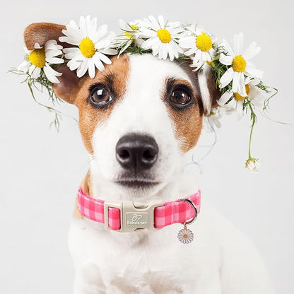 Girl Dog Collar for Medium Dogs - Image 7