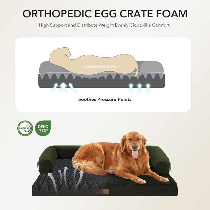 Orthopedic Dog Beds for Large Sized Dogs, Waterproof Egg Crate Foam Medium Dog - Image 3