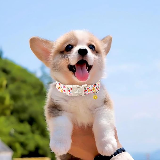 Floral Dog Collar, UP URARA PUP Colorful Floral Adjustable Pet Collar - Image 6