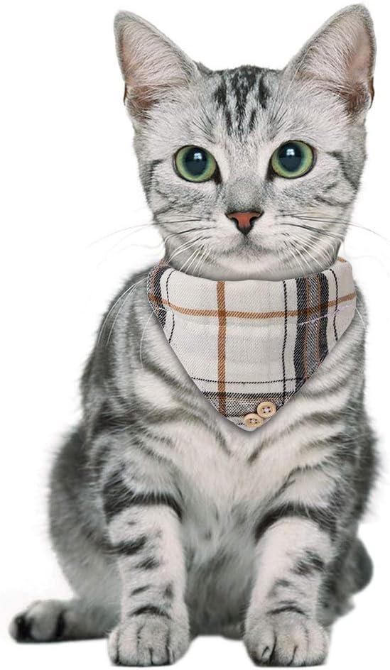 Faleela Breakaway Cat Collar - Image 6