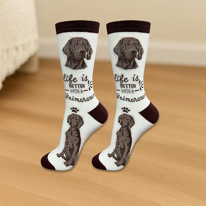 E&S Pets Pet Lover Socks - Image 3