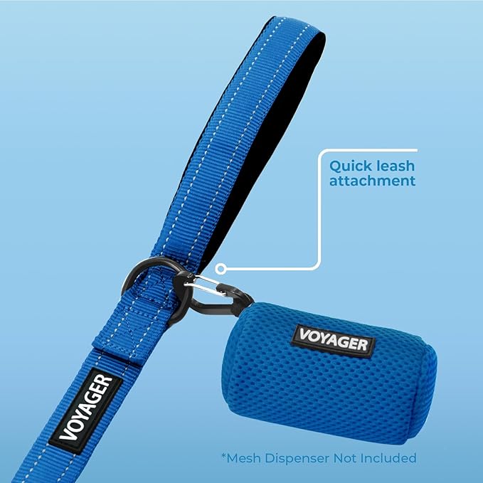Best Pet Supplies Voyager Reflective Dog Leash or Collar - Image 3