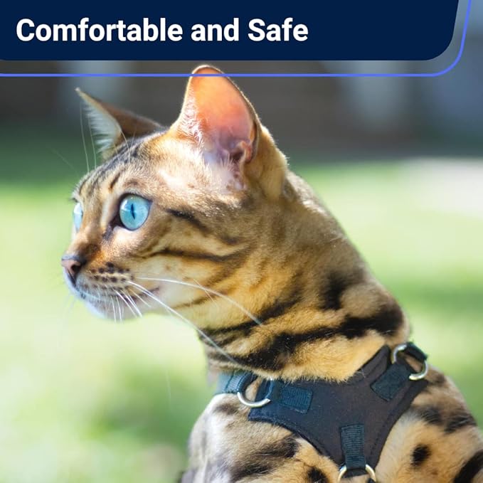 Houdini™ Escape Proof Cat Harness and Leash Set by OutdoorBengal - Image 5