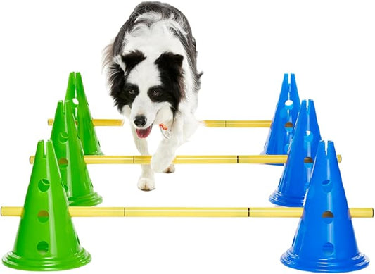 FitPAWS Ball Dynamics CanineGym Agility Kit by FitPaws