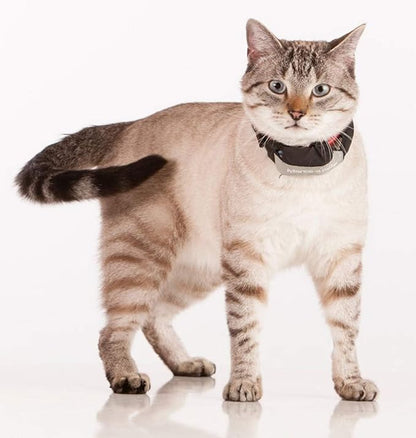 2-Pet Tracking System for Large and Small Dogs and Cats, Waterproof and Rugged - Image 4