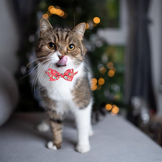 Christmas Breakaway Cat Collar - Image 3