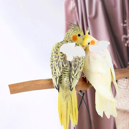 Pet Parrot Bird Harness and Leash, Adjustable Training Design Anti-Bite - Image 3